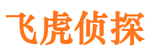 南江市侦探调查公司